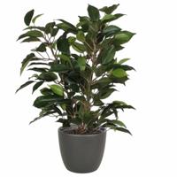 Mica Decorations Ficus kunstplant - groen - 40 cm - met plantenpot - grijs - D13.5 en H12.5 cm