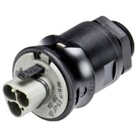 Wieland Electric 96.032.6054.3 Aansluiting voor apparaat