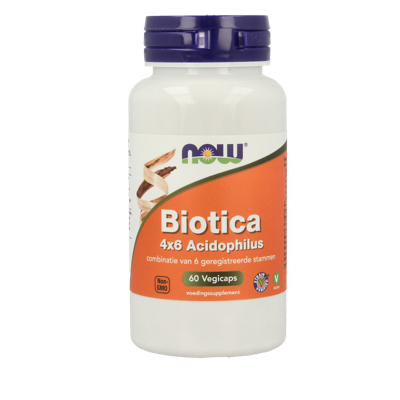 NOW Biotica 4x6 acidophilus 60 Vegetarische capsules NOW Biotica 4x6 acidophilus 60 Vegetarische capsules