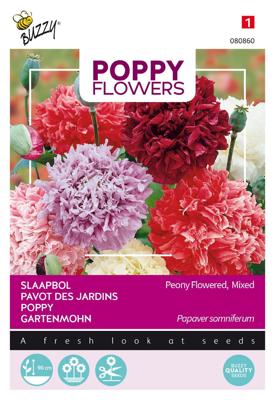 Poppies of the world papaver pioenbloemig - Buzzy