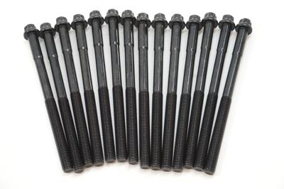 Cilinderkopboutset BMW (14 ST.) 143200101