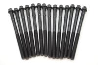 Cilinderkopboutset BMW (14 ST.) 143200101