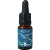 Ladrome bloemessence centaury bio