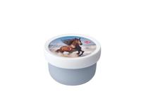 Mepal fruitbox campus - wild horse Mepal fruitbox campus - wild horse