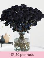 Zwarte rozen - XL rozen - 10 t/m 49 rozen