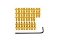 DMR pin kit vault gold