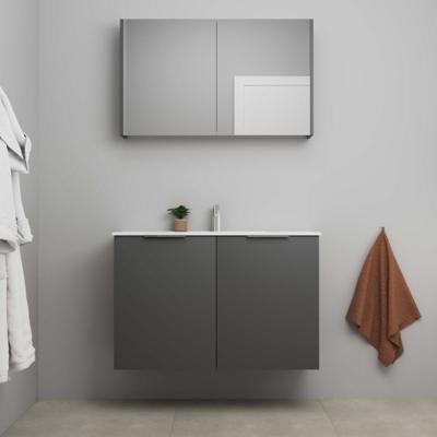 On-Line Badkamermeubelset - 100 cm - Voorgemonteerd - 2 Deuren met Greep - Porseleinen Wastafel - 1 Kraangat - Spiegelkast - Mat Antraciet