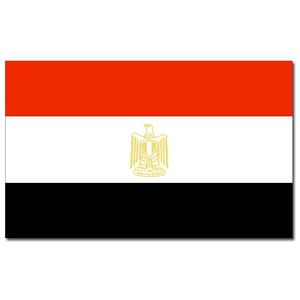 Landen thema vlag Egypte 90 x 150 cm feestversiering