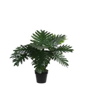 Mica Decorations Philodendron Kunstplant - H60 x Ø80 cm - Groen