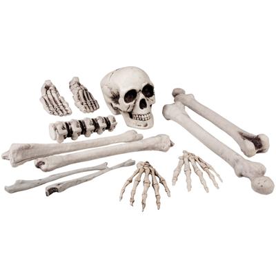 12 stuks Doodshoofd en beenderen (40 cm)