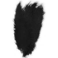 Grote veer/struisvogelveren zwart 50 cm verkleed accessoire   -