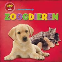 Zoogdieren (Hardback)