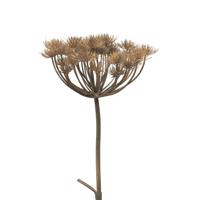 Kunstbloem/kunsttak Berenklauw/heracleum - 98 cm - losse steel - kunst zijdebloem takken - thumbnail