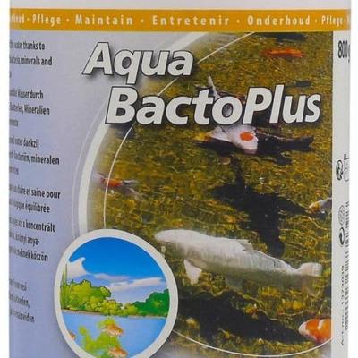 Waterbehandeling Aqua Bacto Plus 800 g - Velda