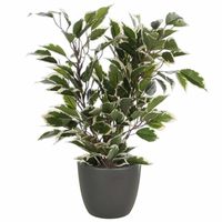 Groen/witte ficus kunstplant 40 cm met plantenpot mat antraciet grijs D13.5 en H12.5 cm