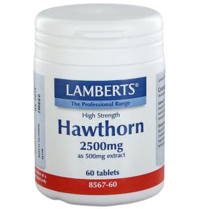Crataegus (Hawthorn)