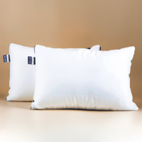 2 PACK Hotelkussens Default Anti Allergie & Anti Huisstofmijt & Medium & Rug Slaper & Zij Slaper Silver Star - Dekbed-Discounter.nl