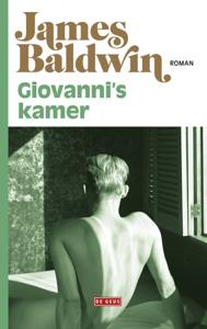 Giovanni&apos;s kamer (Paperback)