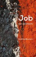 Job, een aanklacht (Paperback)