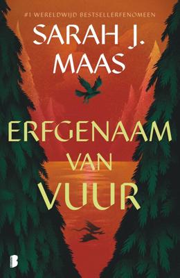 Erfgenaam van vuur (Paperback)