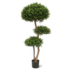 Buxus Bol Deluxe x3 140 cm UV