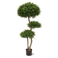 Buxus Bol Deluxe x3 140 cm UV