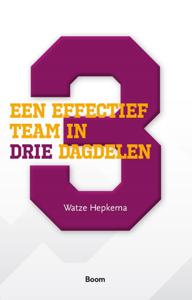 Een effectief team in drie dagdelen (Paperback)