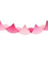 HEMA Slinger papieren waaiers 6m