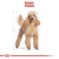 Royal Canin Poodle Adult 1,5 kg