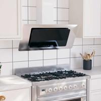 Wandafzuigkap 90 cm roestvrij staal gehard glas zilverkleurig