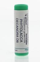 Homeoden Heel Phytolacca decandra D6 1 Gram