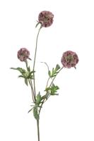 Scabiosa stellata l75cm oud roze kunstbloem Louis Maes - Louis maes