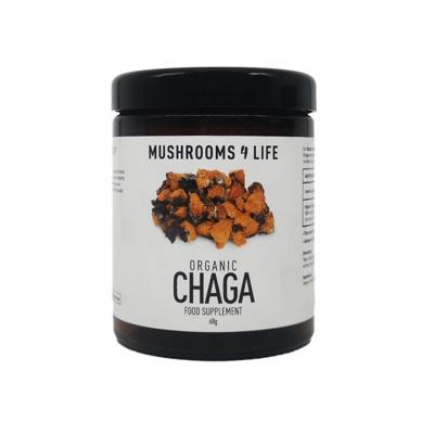 Mushrooms F Life Chaga poeder bio Mushrooms F Life Chaga poeder bio