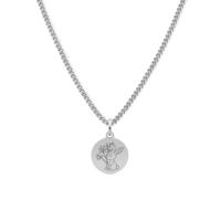 Kindercollectie ketting geboortebloem – Stainless steel - Zilver
