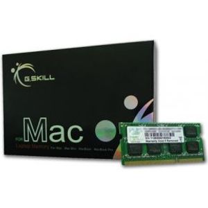 G.Skill 4GB DDR3-1066 SQ MAC geheugenmodule 1 x 4 GB 1066 MHz