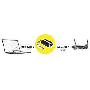 ROLINE USB 3.2 Gen 2 naar 2.5 Gigabit Ethernet Converter