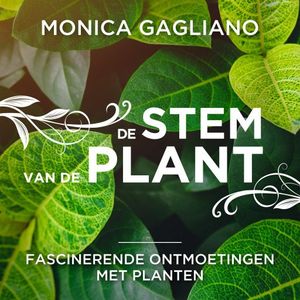 De stem van de plant