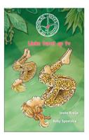 Lieke turnt voor tv (Hardback)