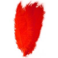 Verkleed spadonis sierveer rood 50 cm   -