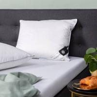 Hoofdkussen Dons 60% Eendendons 60x70 Cm Anti Allergie & Anti Huisstofmijt & Ademend & Zacht & Medium & Buik Slaper & Rug Slaper & Zij Slaper