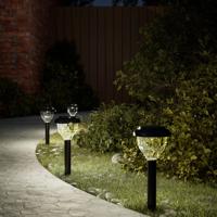 VidaXL Tuinpadverlichting 4 st solar met grondpennen rgb en warmwit