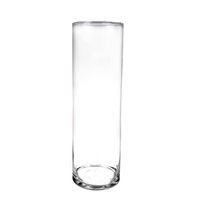 Hoge glazen vaas/vazen transparant 50 x 15 cm - Vazen