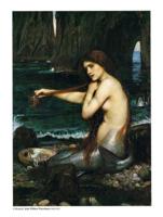 Kunstdruk John William Waterhouse - A Mermaid 60x80cm