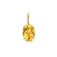 14k Gouden Hanger Geboortesteen November Citrien 12,5mm
