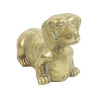 Hond Freggel Goud S