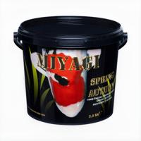 Miyagi Spring Autumn 800g - Compleet Seizoensvoer met Vitaminen & Prebiotica voor Vijvervissen