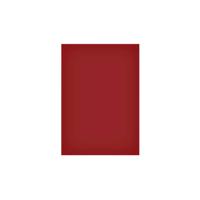 Magneetvel maul 200x300mm rood | 50 stuks