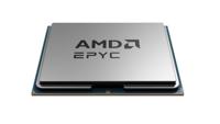 AMD Epyc 8324PN 32 x 2.05 GHz 32-Core Processor (CPU) tray Socket: AMD SP6 130 W