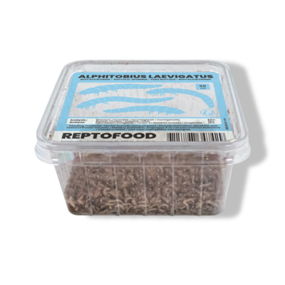 Buffalowormen bakje 50ml Reptofood - Aquadistri