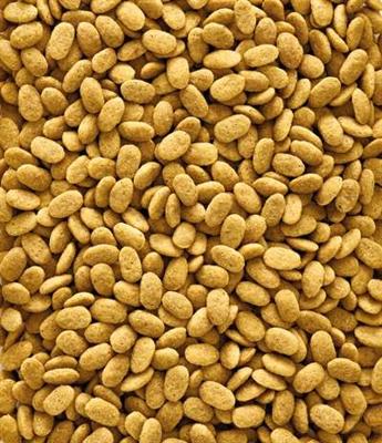 NUTRIBIRD P15 ORIGINAL ONDERHOUDSVOEDER